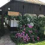 Hortenzia Vendeghaz Kisar