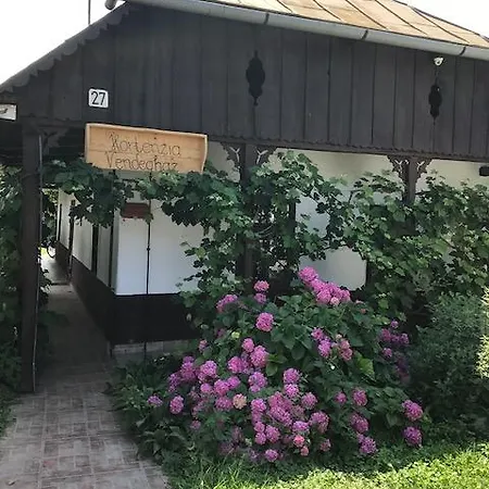 Hortenzia Vendeghaz Kisar