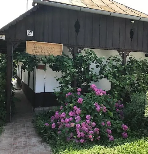 Hortenzia Vendeghaz Kisar